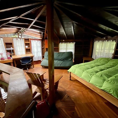Los Quetzales Ecolodge & Spa سيرو بونتا المظهر الخارجي الصورة