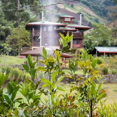 Los Quetzales Ecolodge & Spa سيرو بونتا المظهر الخارجي الصورة