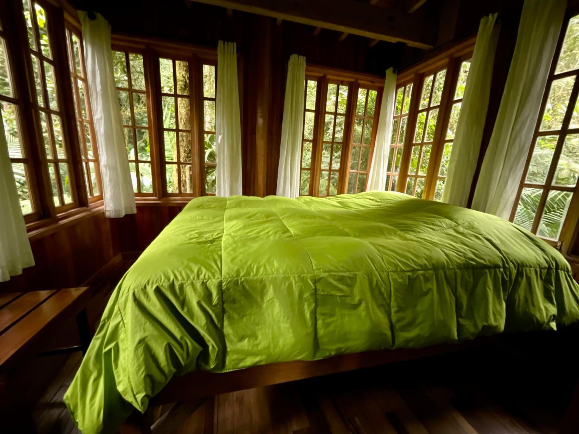 Los Quetzales Ecolodge & Spa سيرو بونتا المظهر الخارجي الصورة
