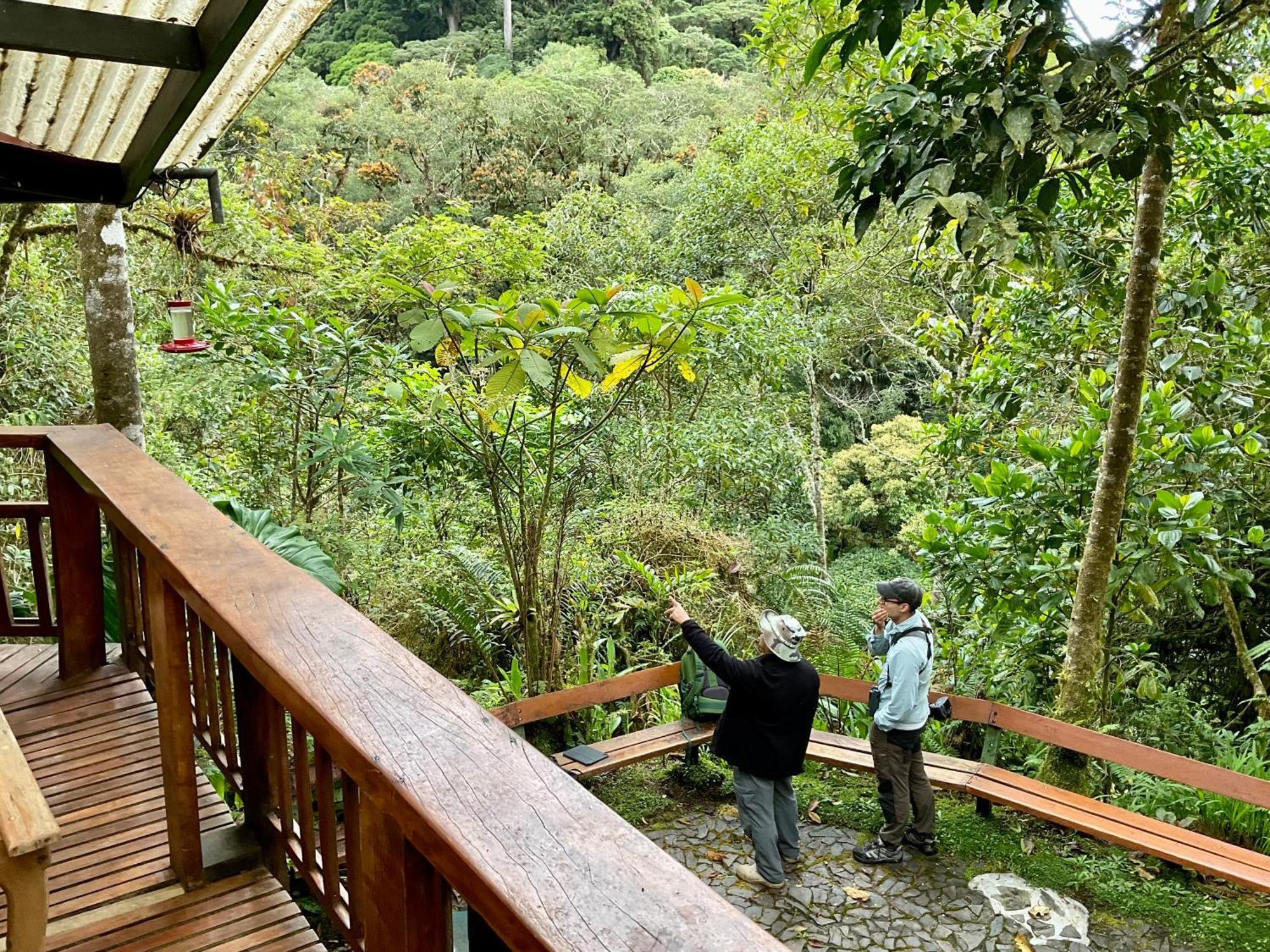 Los Quetzales Ecolodge & Spa سيرو بونتا المظهر الخارجي الصورة