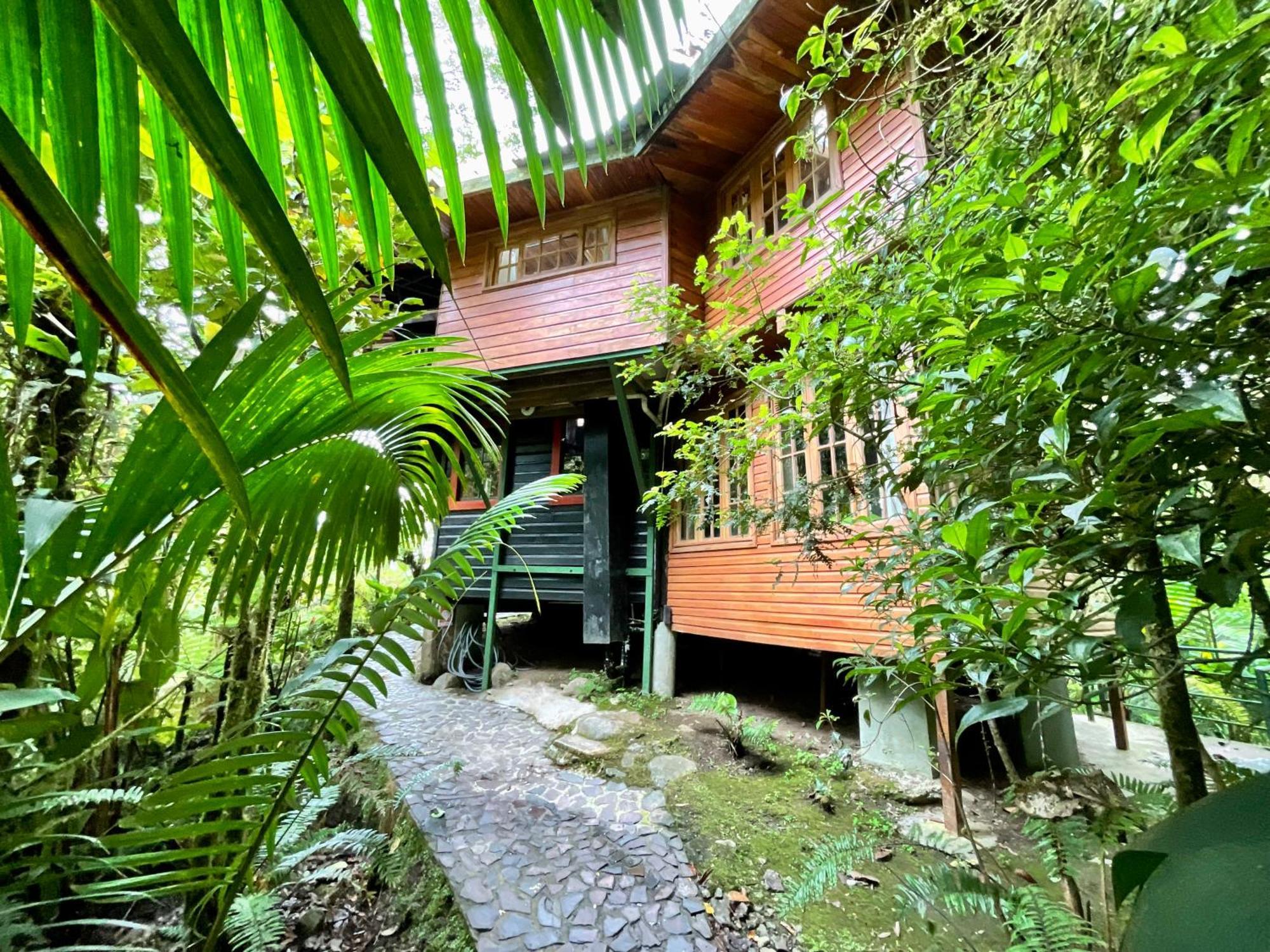 Los Quetzales Ecolodge & Spa سيرو بونتا المظهر الخارجي الصورة