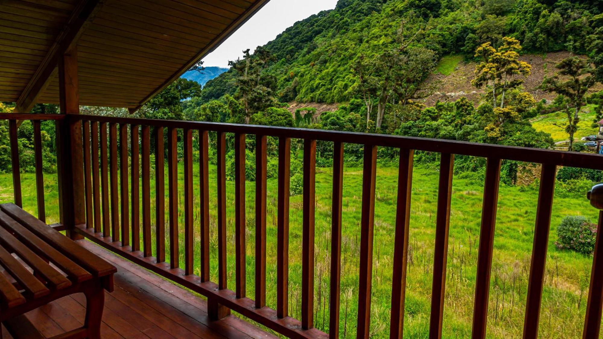 Los Quetzales Ecolodge & Spa سيرو بونتا المظهر الخارجي الصورة