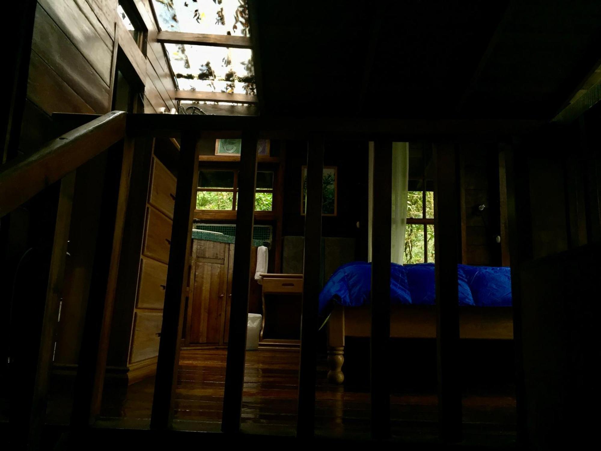 Los Quetzales Ecolodge & Spa سيرو بونتا المظهر الخارجي الصورة