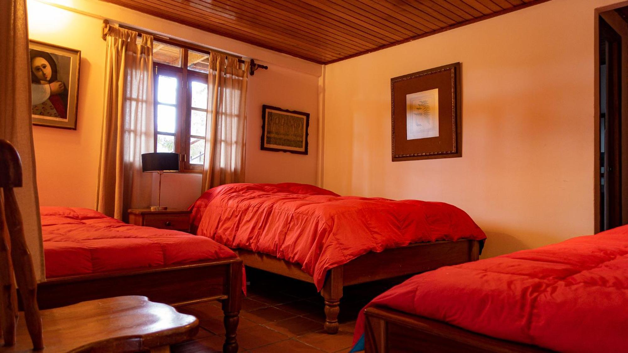 Los Quetzales Ecolodge & Spa سيرو بونتا المظهر الخارجي الصورة