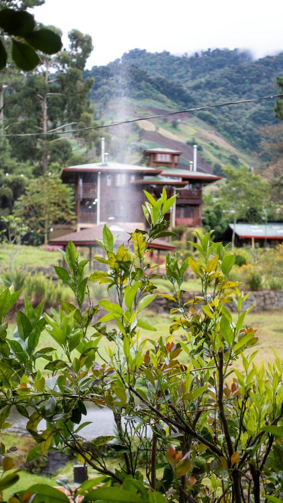 Los Quetzales Ecolodge & Spa سيرو بونتا المظهر الخارجي الصورة