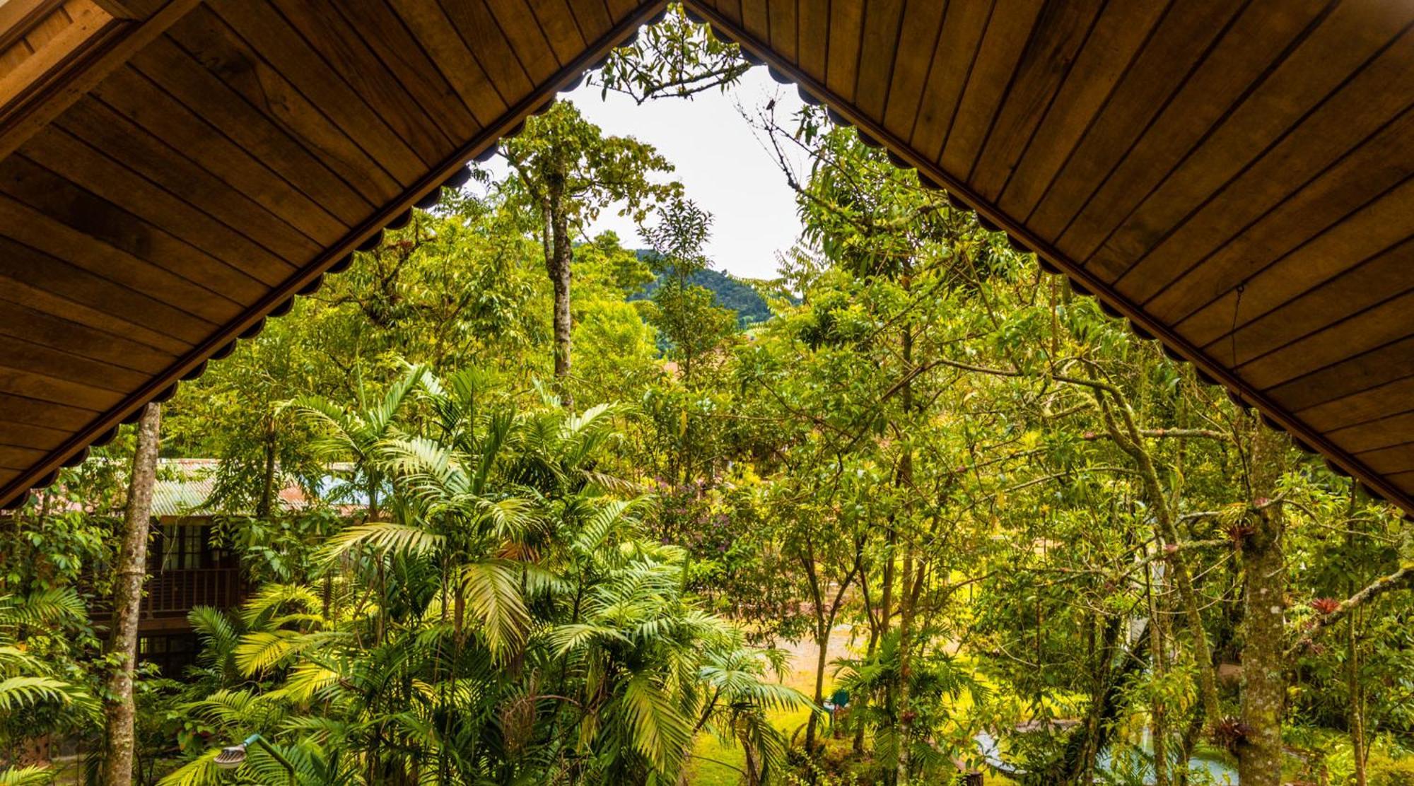 Los Quetzales Ecolodge & Spa سيرو بونتا المظهر الخارجي الصورة