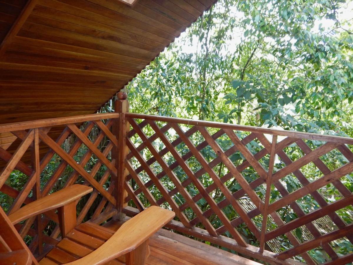 Los Quetzales Ecolodge & Spa سيرو بونتا المظهر الخارجي الصورة